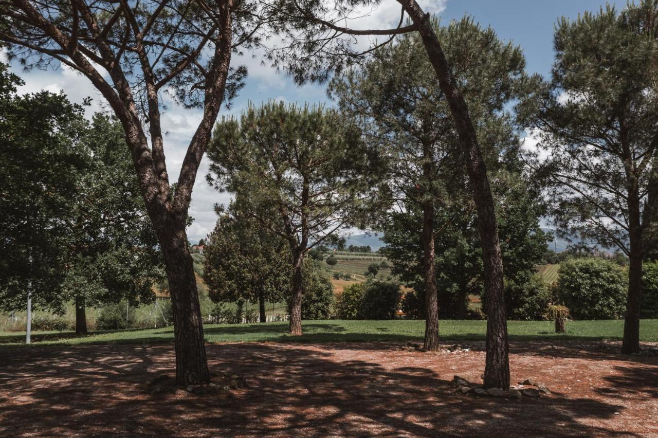 Vila Agriturismo S.Angelo Foiano Della Chiana Exteriér fotografie